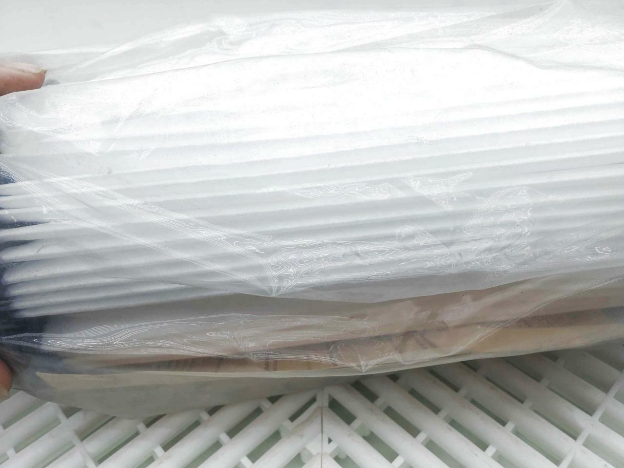 New Keystone Giant G08P10010D Pleated Filter Cartridge Polypropylene 10" x 4.5" - New other (see details) - Image 3