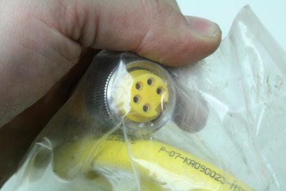 Turck WSM WKM 5711 3M 5 Pin M14 Cable Assembly XYRATEX EXT PWR New 171713239398 9